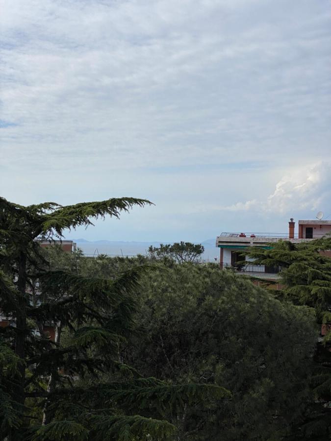 Sorrento Inn Lodge מראה חיצוני תמונה